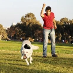 KONG Extreme Juguete Negro Para Perros -Mascota Tienda 74319 kongextremeschwarz hs 02 0