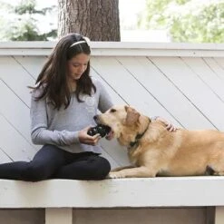 KONG Extreme Juguete Negro Para Perros -Mascota Tienda 74319 kongextremeschwarz hs 03 2