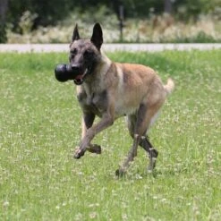 KONG Extreme Juguete Negro Para Perros -Mascota Tienda 74319 kongextremeschwarz hs 04 9