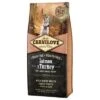 Carnilove Large Puppy Con Salmón Y Pavo -Mascota Tienda 76846 pla carnilove puppylarge 12kg 1