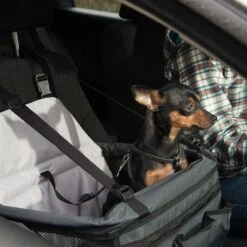 Asiento Para El Coche Booster -Mascota Tienda 78030 autositz booster fg 6387 2