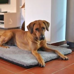 Colchón Ortopédico Pawz & Pepper Aurora 17 Colchón Ortopédico Pawz & Pepper Aurora -Mascota Tienda 78424 petlando pawzpepper hundekissen denver hs 07 9