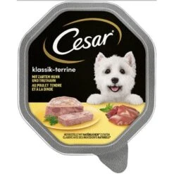 Cesar En Tarrinas 56 X 150 G 24 Cesar En Tarrinas 56 X 150 G -Mascota Tienda 78459 pla mars cesar klassiker huhn truthahn hs 01 0