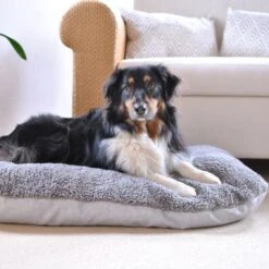 Cojín Ortopédico Pawz & Pepper Denver -Mascota Tienda 78610 petlando pawzpepper hundekissen auroraortho hs 010 3