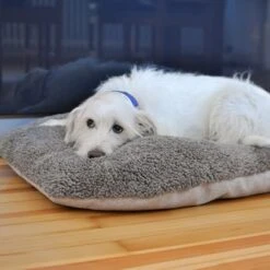 Cojín Ortopédico Pawz & Pepper Denver -Mascota Tienda 78610 petlando pawzpepper hundekissen auroraortho hs 09 5