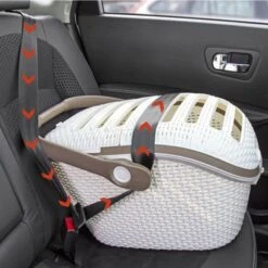 Transportín Curver Para Mascotas -Mascota Tienda 79713 karlie curver transportbox hs 04 2