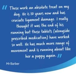 YuMOVE Comprimidos Cuidado Articular Para Perros Senior 22 YuMOVE Comprimidos Cuidado Articular Para Perros Senior -Mascota Tienda 7senior 9