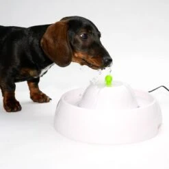 Bebedero Fuente Neptuno -Mascota Tienda 80407 trinkbrunnen trevi fg nachschlag 3283 6