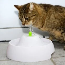 Bebedero Fuente Neptuno -Mascota Tienda 80407 trinkbrunnen trevi fg nachschlag 3328 6