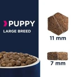 Eukanuba Puppy Large Breed Pollo -Mascota Tienda 80449 eukanuba puppy large breed kibbles 0