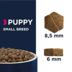 Eukanuba Growing Puppy Razas Pequeñas 5 Eukanuba Growing Puppy Razas Pequeñas -Mascota Tienda 80542 eukanuba puppy small breed kibbles 1