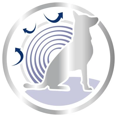 Royal Canin Maxi Ageing 8+ 6 Royal Canin Maxi Ageing 8+ - Imagen 4