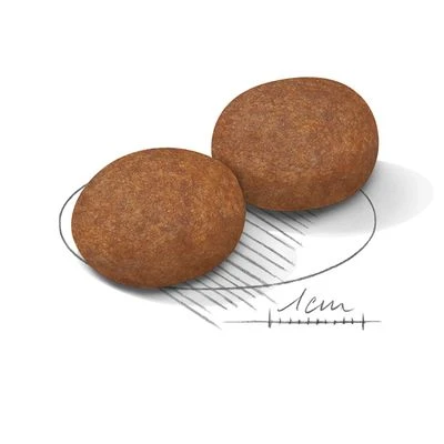 Royal Canin Medium Mature Adult 7+ 5 Royal Canin Medium Mature Adult 7+ - Imagen 3