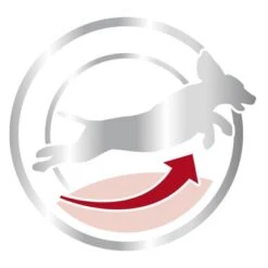 Royal Canin Medium Mature Adult 7+ 9 Royal Canin Medium Mature Adult 7+ -Mascota Tienda 80651 royalcanin mediumadult 7plus 15kg picto hs 03 9