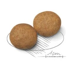 Royal Canin Medium Adult -Mascota Tienda 80731 royalcanin mediumadult 15kg croc hs 02 7