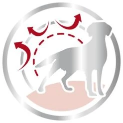 Royal Canin Medium Adult -Mascota Tienda 80731 royalcanin mediumadult 15kg picto hs 03 6