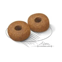 Royal Canin Medium Ageing 10+ -Mascota Tienda 80734 royalcanin mediumageing 10plus 15kg croc hs 02 5