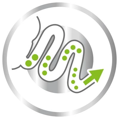 Royal Canin X-Small Adult 6 Royal Canin X-Small Adult - Imagen 4