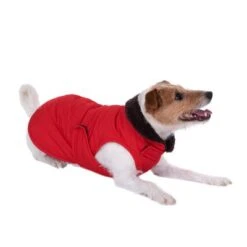 Abrigo Steppmuster Para Perros -Mascota Tienda 81643 hundemantel steppmuster russel fg 8826 gespiegelt 1