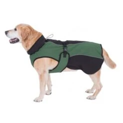 Abrigo Para Perros Softshell -Mascota Tienda 81644 softshell gruen hund fg 8796 6