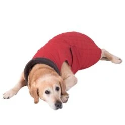 Abrigo Steppmuster Para Perros -Mascota Tienda 81645 hundemantel steppmuster hund fg 8625 gespiegelt 3