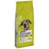 Purina Dog Chow Adult Large Breed Con Pavo -Mascota Tienda 82005 pla dog chow largebreed turkey 14kg 1