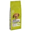 Purina Dog Chow Adult Con Cordero Y Arroz -Mascota Tienda 82100 pla dog chow adult medium lamb 14k 3