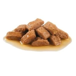 Royal Canin Medium Ageing 10 + En Salsa Para Perros -Mascota Tienda 82974 royalcanin medium ageing 1