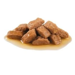 Royal Canin Medium Adult En Salsa Para Perros -Mascota Tienda 83016 royalcanin medium adult 5