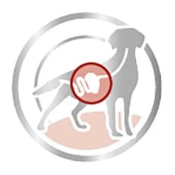 Royal Canin Medium Adult En Salsa Para Perros -Mascota Tienda 83016 royalcanin medium adult picto 9