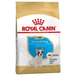 Productos Destacados 17 Royal Canin Bulldog Francés Puppy / Junior