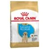 Royal Canin Labrador Retriever Puppy / Junior 1 Royal Canin Labrador Retriever Puppy / Junior -Mascota Tienda 84596 pla royalcanin puppyhund labradorretriever 7