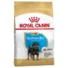 Royal Canin Rottweiler Puppy / Junior 1 Royal Canin Rottweiler Puppy / Junior -Mascota Tienda 84600 pla royalcanin puppyhund rottweiler 7