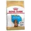 Royal Canin Teckel Puppy / Junior -Mascota Tienda 84603 pla royalcanin puppyhund dachshund 6
