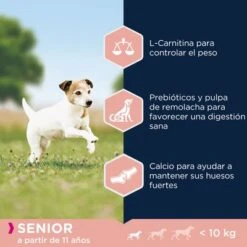Eukanuba Caring Senior Razas Pequeñas -Mascota Tienda 8710255145839 4 7 8