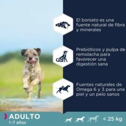 Eukanuba Grain Free Adult Razas Pequeñas Y Medianas Con Pollo -Mascota Tienda 8710255187952 2 6