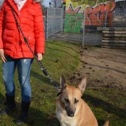 Julius K9 Correa Ajustable Julius-K9 IDC® Cordino Para Perros -Mascota Tienda 89698 juliusk9 idcadjustableropeleash hs 11 2