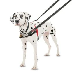 Arnés Antitirones Front Control HALTI Para Perros 17 Arnés Antitirones Front Control HALTI Para Perros -Mascota Tienda 94510 coa halti front controll harness hs 01 3