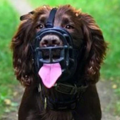 Bozal Baskerville Ultra 2.0 Con Cierres De Plástico 7 Bozal Baskerville Ultra 2.0 Con Cierres De Plástico - Imagen 5