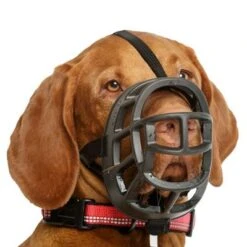 Bozal Baskerville Ultra 2.0 Con Cierres De Plástico 16 Bozal Baskerville Ultra 2.0 Con Cierres De Plástico -Mascota Tienda 94513 maulkorb baskerville ultra hs7 2