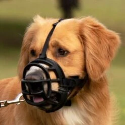 Bozal Baskerville Ultra 2.0 Con Cierres De Plástico 17 Bozal Baskerville Ultra 2.0 Con Cierres De Plástico -Mascota Tienda 94515 maulkorb baskerville ultra hs14 2