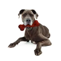 Hueso Nylabone Dura Chew Monster Aroma A Bisonte 11 Hueso Nylabone Dura Chew Monster Aroma A Bisonte -Mascota Tienda 94898 nylabone durra chew monster hs 05 1