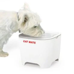 Bebedero Fuente Cat Mate Concha De Pet Mate -Mascota Tienda 95720 cat mate shell pet fountain hs 01 7