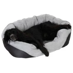 Cama Ortopédica Lazy Para Perros -Mascota Tienda 98296 aussiemix fg 4789 5