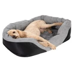 Cama Ortopédica Lazy Para Perros -Mascota Tienda 98297 koenigspudel fg 4710 2
