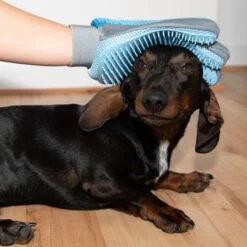 Guante De Doble Cara Para Pelaje De Mascotas -Mascota Tienda 98728 fellpflege handschuh fg 9972 3