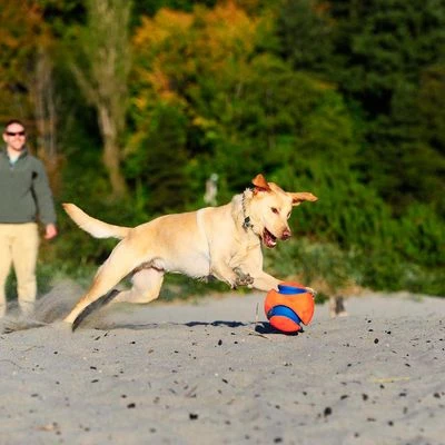 Pelota Chuckit! Kick Fetch Para Perros 6 Pelota Chuckit! Kick Fetch Para Perros - Imagen 4