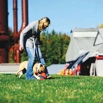 Pelota Chuckit! Kick Fetch Para Perros 8 Pelota Chuckit! Kick Fetch Para Perros - Imagen 6
