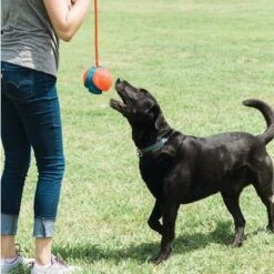 Chuckit! Rope Fetch Pelota Con Cuerda Para Perros -Mascota Tienda 99704 petmate chuckit rope fetch hs 04 5