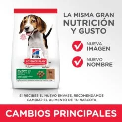 Hill's Science Plan Hill's Puppy <1 Medium Science Plan Con Cordero Y Arroz -Mascota Tienda atf11 604335 key changes 0